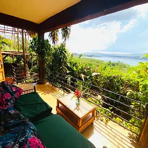 Bed & Breakfast Homeonthenile View Double, Jinja